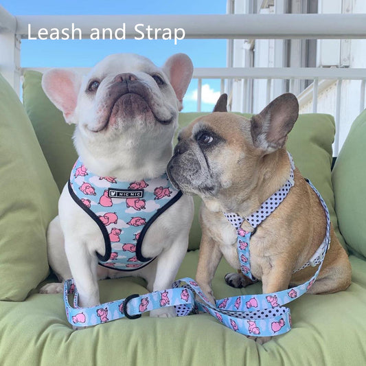 Breathable Mesh Dog Harness with Leash