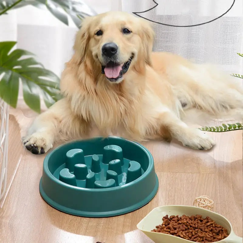 Flower Fun Slow Feeding Dog Bowl
