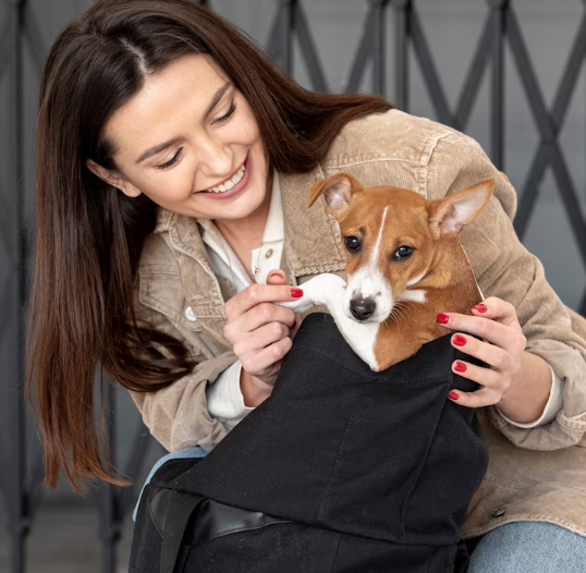 Separation Anxiety: The Ultimate Guide to Helping Your Best Friend Feel Safe When You’re Away