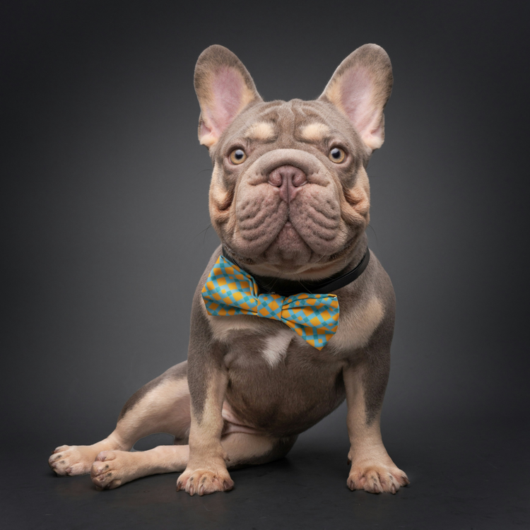 Frenchie Boutique