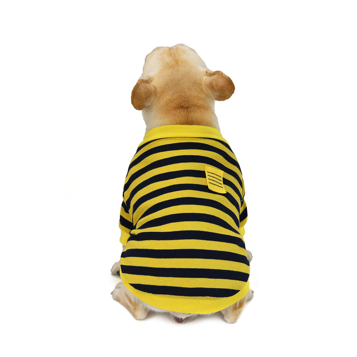 Striped Canine Sweater