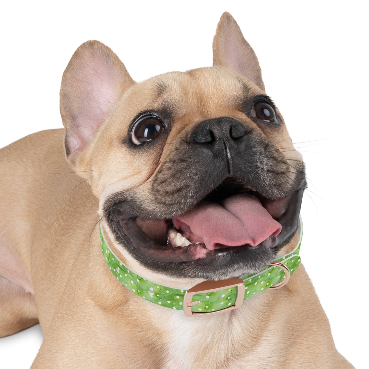 Green Polka Dot Dog Collar