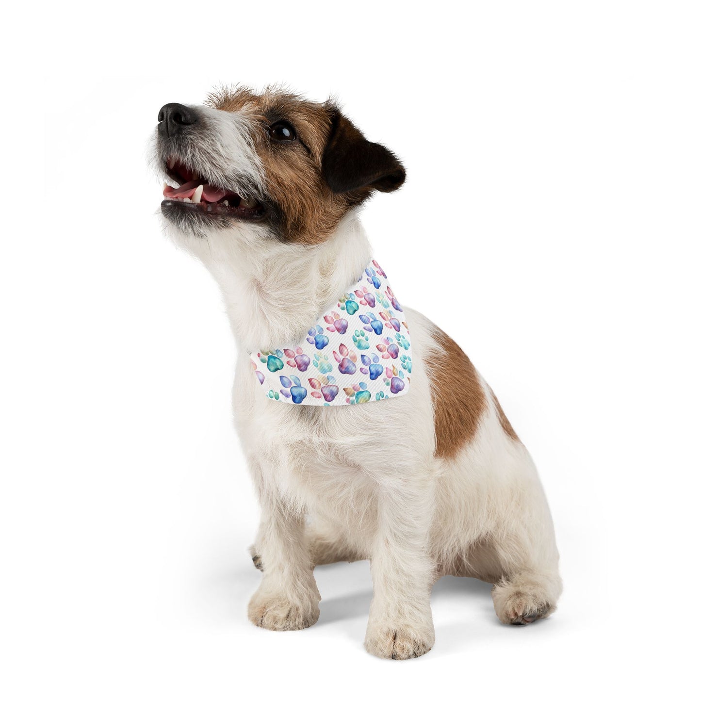 Pastel Paw Print Pet Bandana Collar