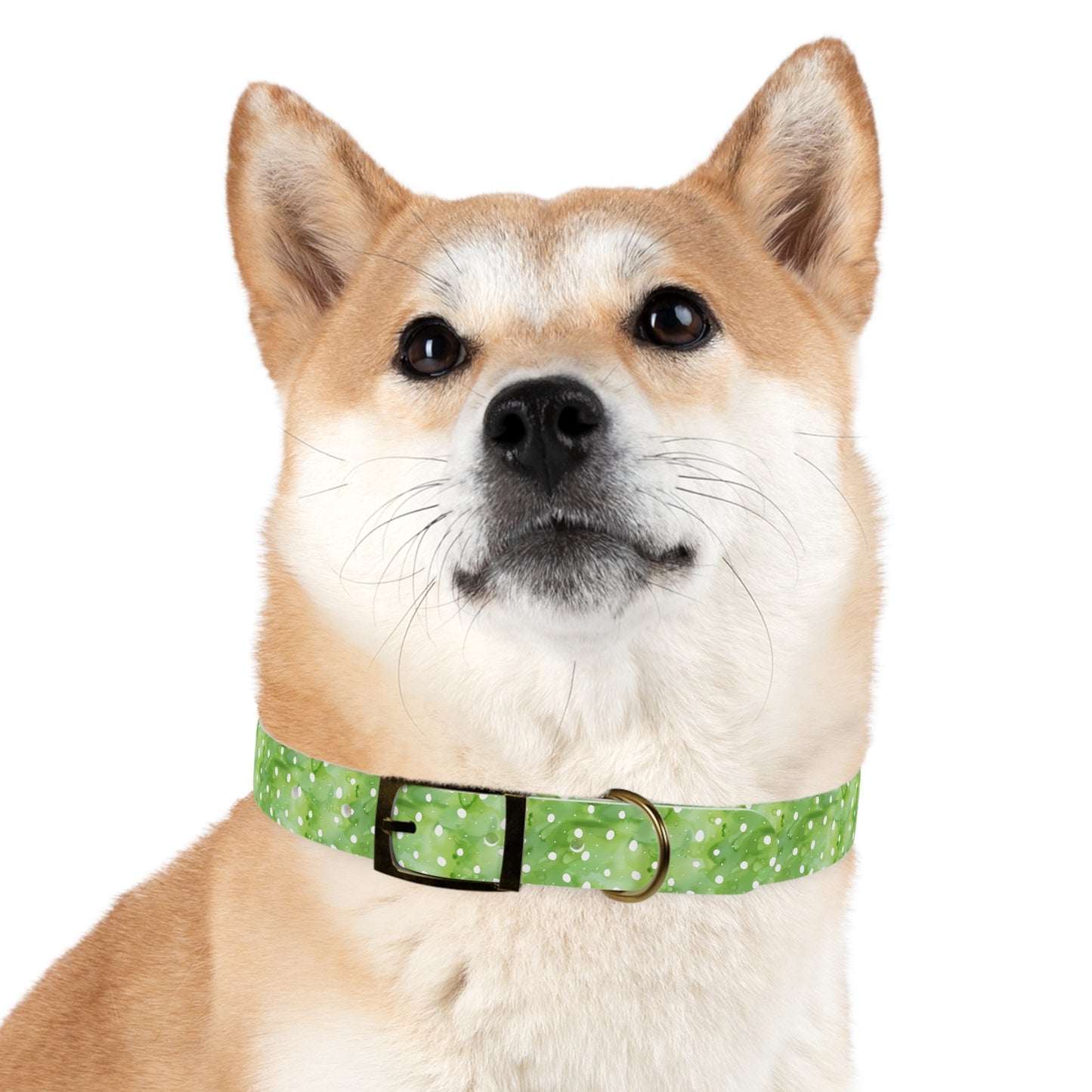 Green Polka Dot Dog Collar