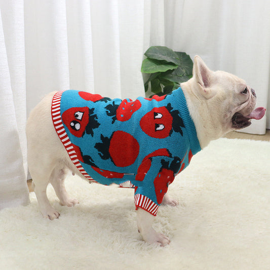 Blue Berry Cozy Dog Sweater