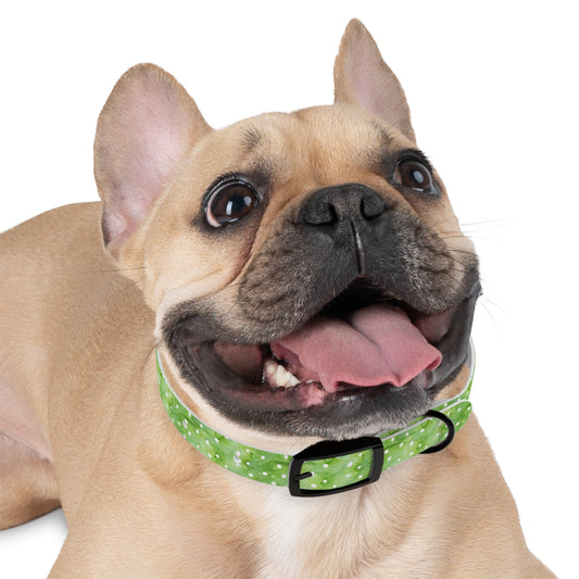 Green Polka Dot Dog Collar