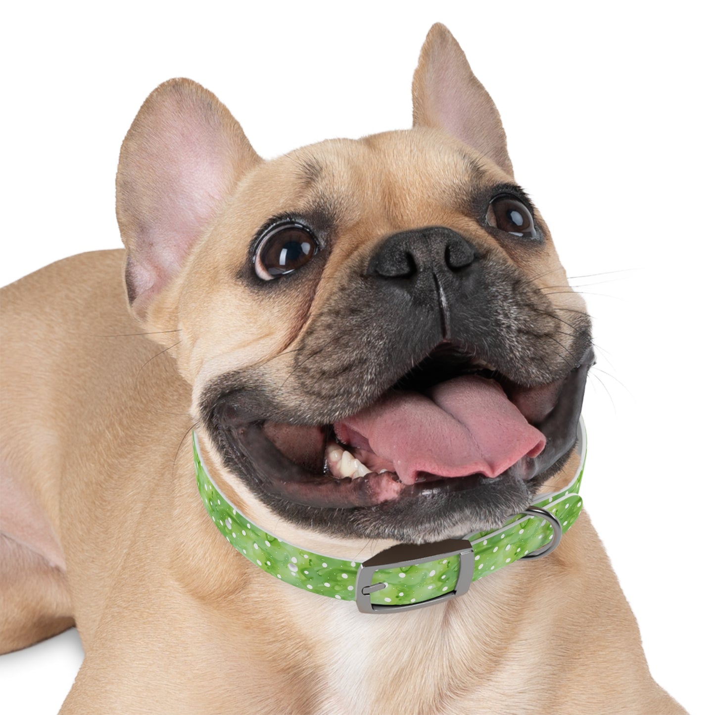 Green Polka Dot Dog Collar