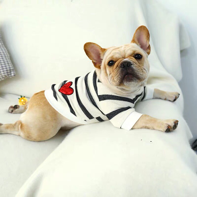 Heart Motif Doggie Sweater - Spring/Summer