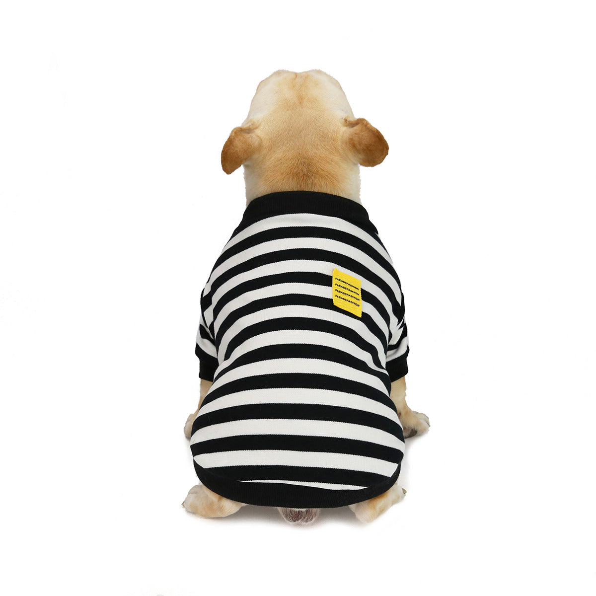 Striped Canine Sweater