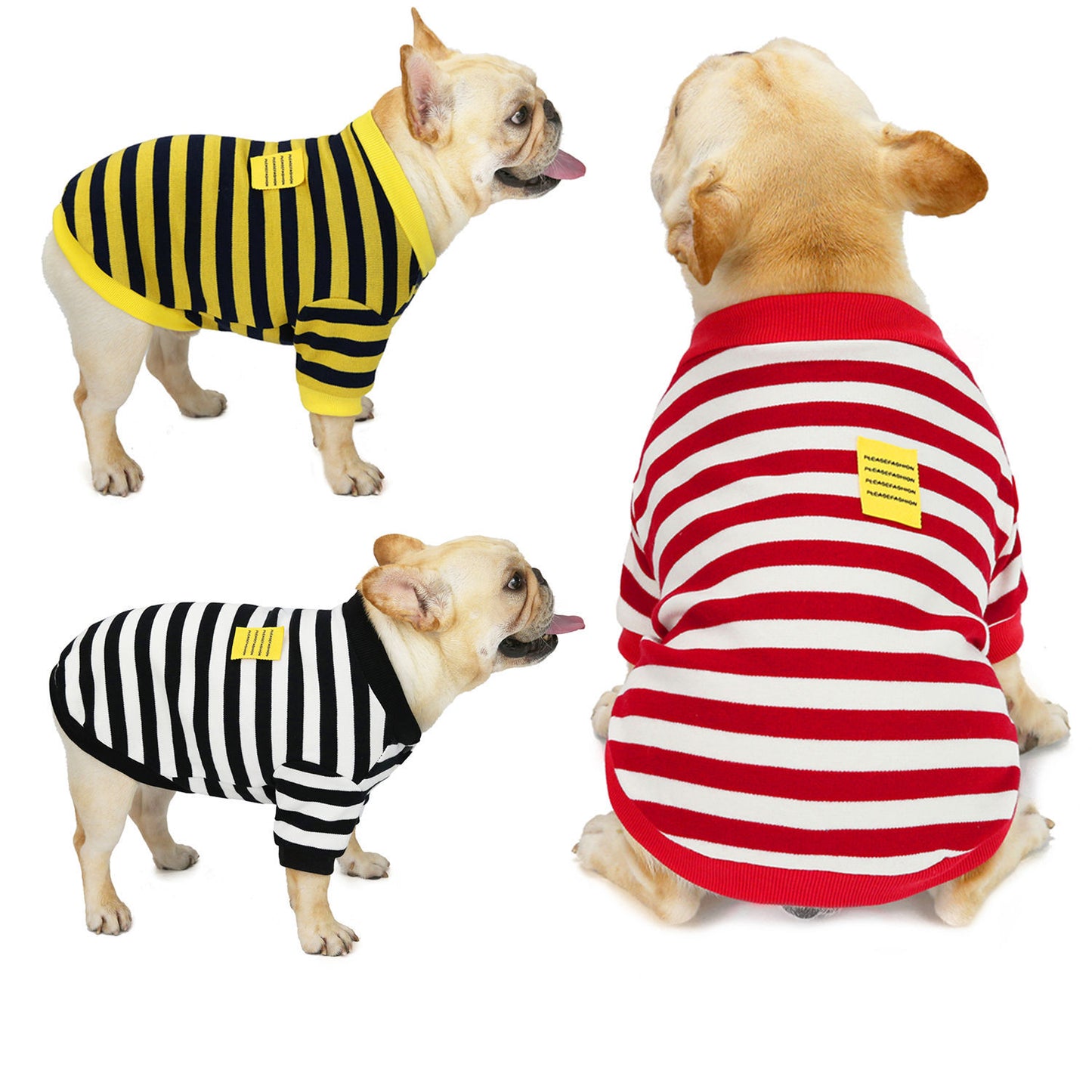 Striped Canine Sweater