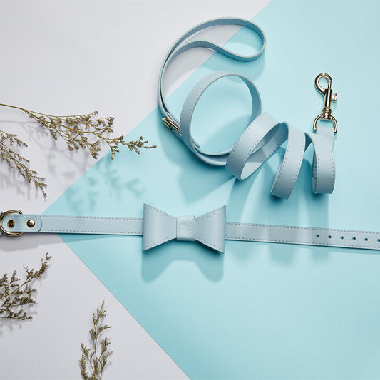 Chic Pet Bow Collar & Leash Set