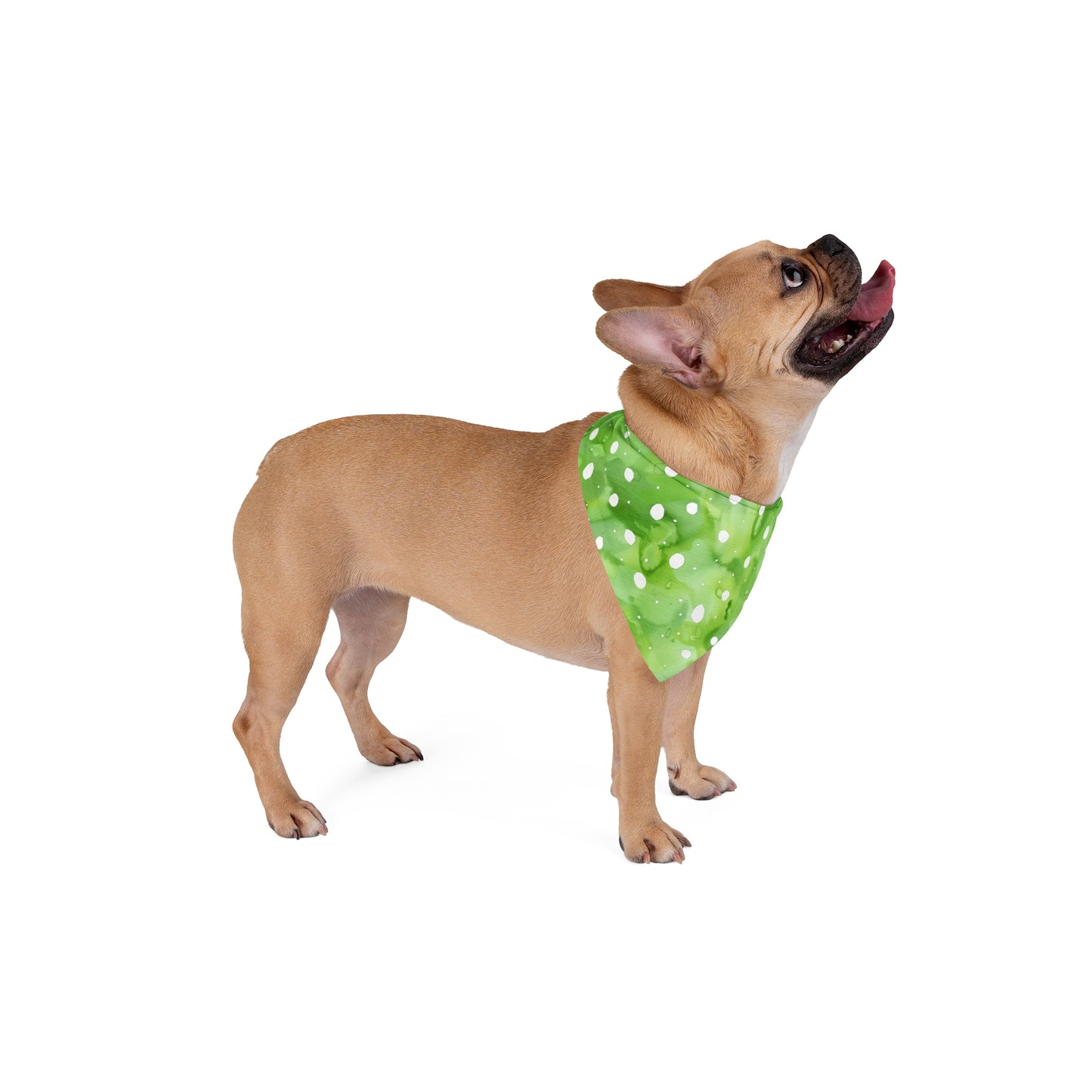 Green Watercolor Polka Dot Pet Bandana