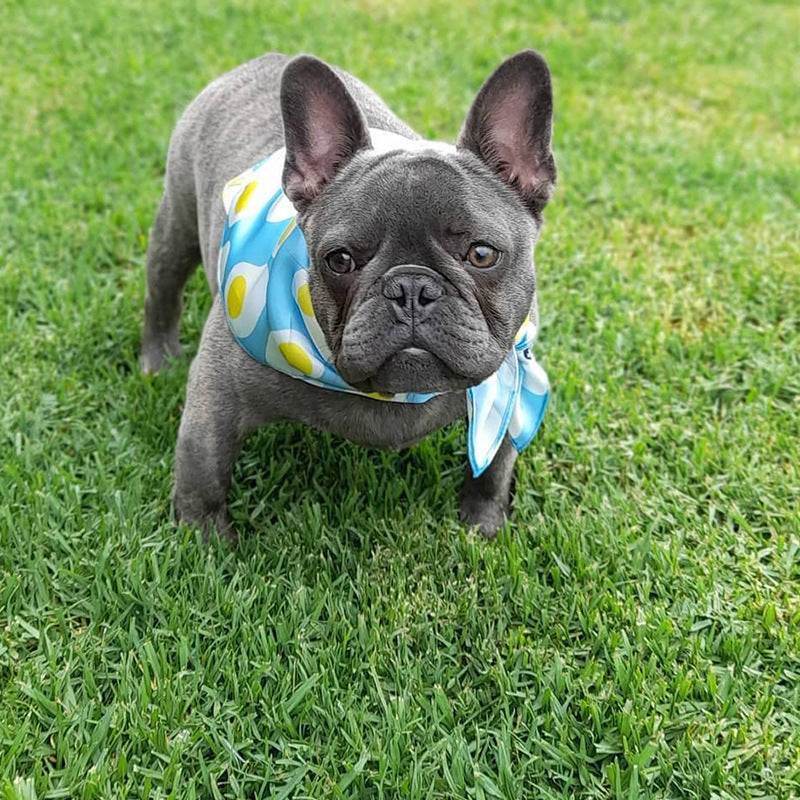 Pet Chic Triangle Scarf - Saliva Absorbent