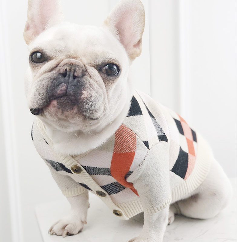 Chic Frenchie Winter Woolie