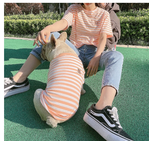 Chic Striped Companion Tee