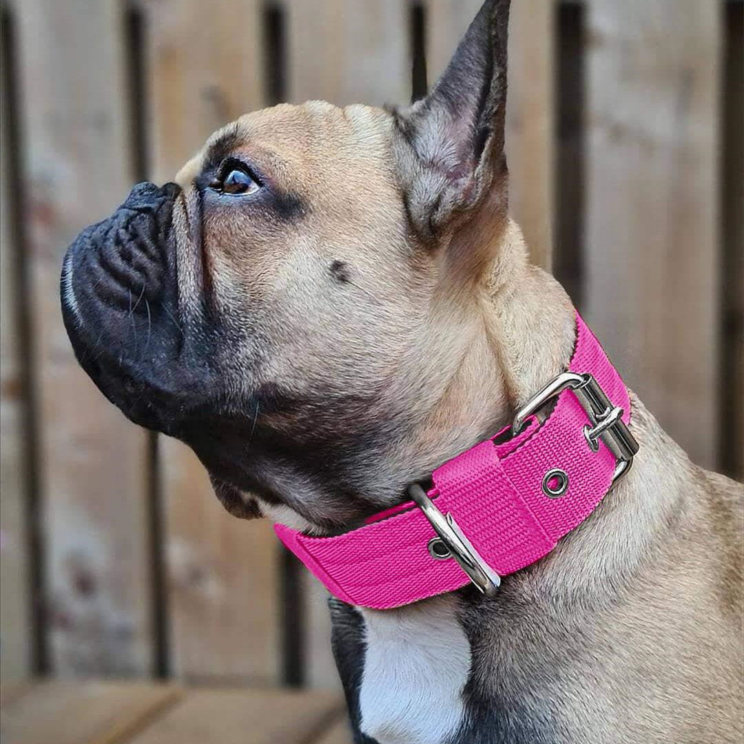 Comfort Foam Dog Bandana Collar