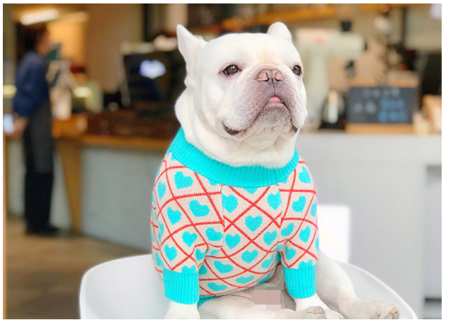 Cozy Blue Heart Dog Sweater - Fits Pug to Bulldog
