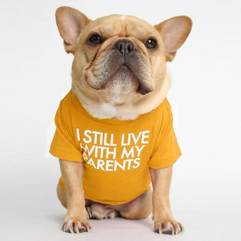Pet Turtleneck Tee