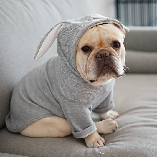 Rabbit ear Hoodie