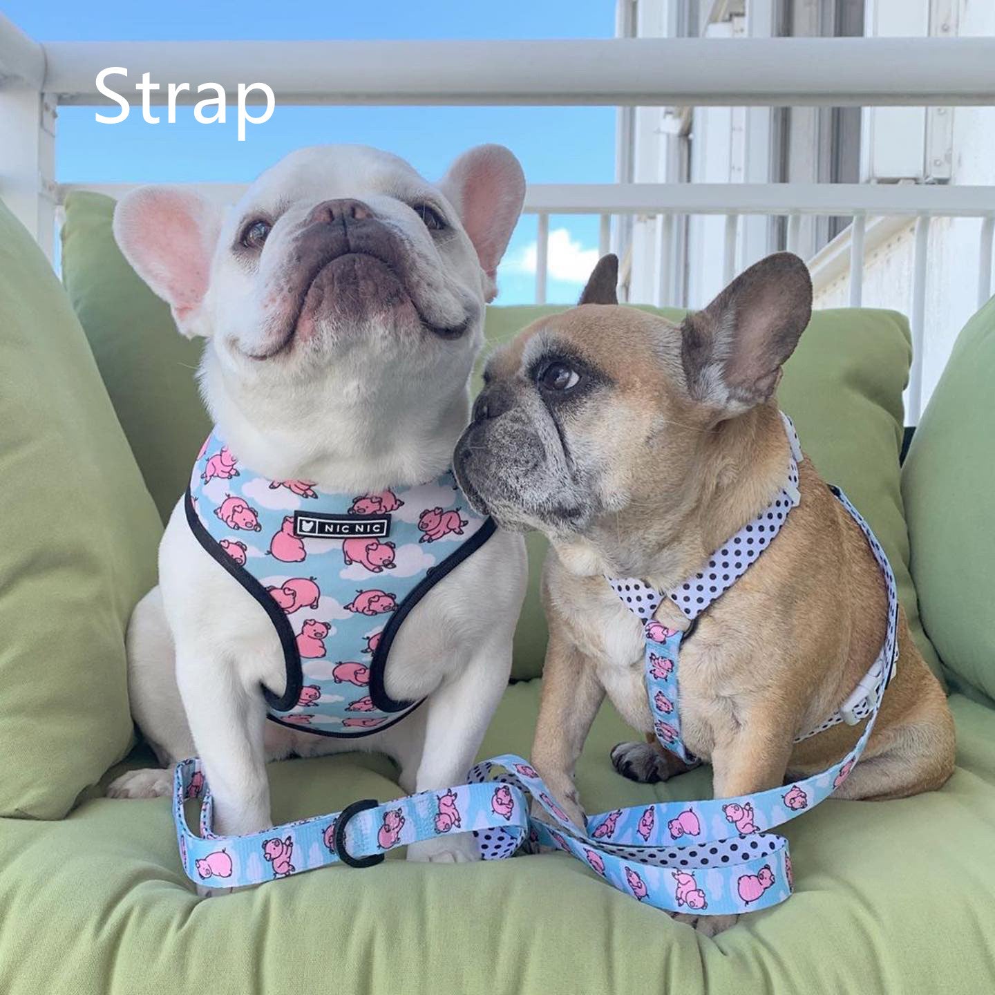 Breathable Mesh Dog Harness with Leash