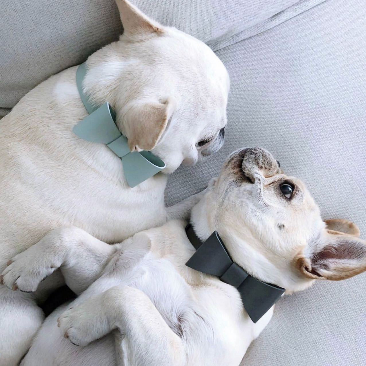 Chic Pet Bow Collar & Leash Set