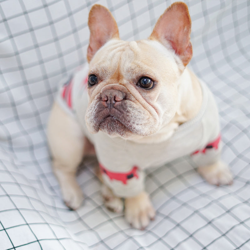 Chic French Bulldog & Pug Cotton Tee